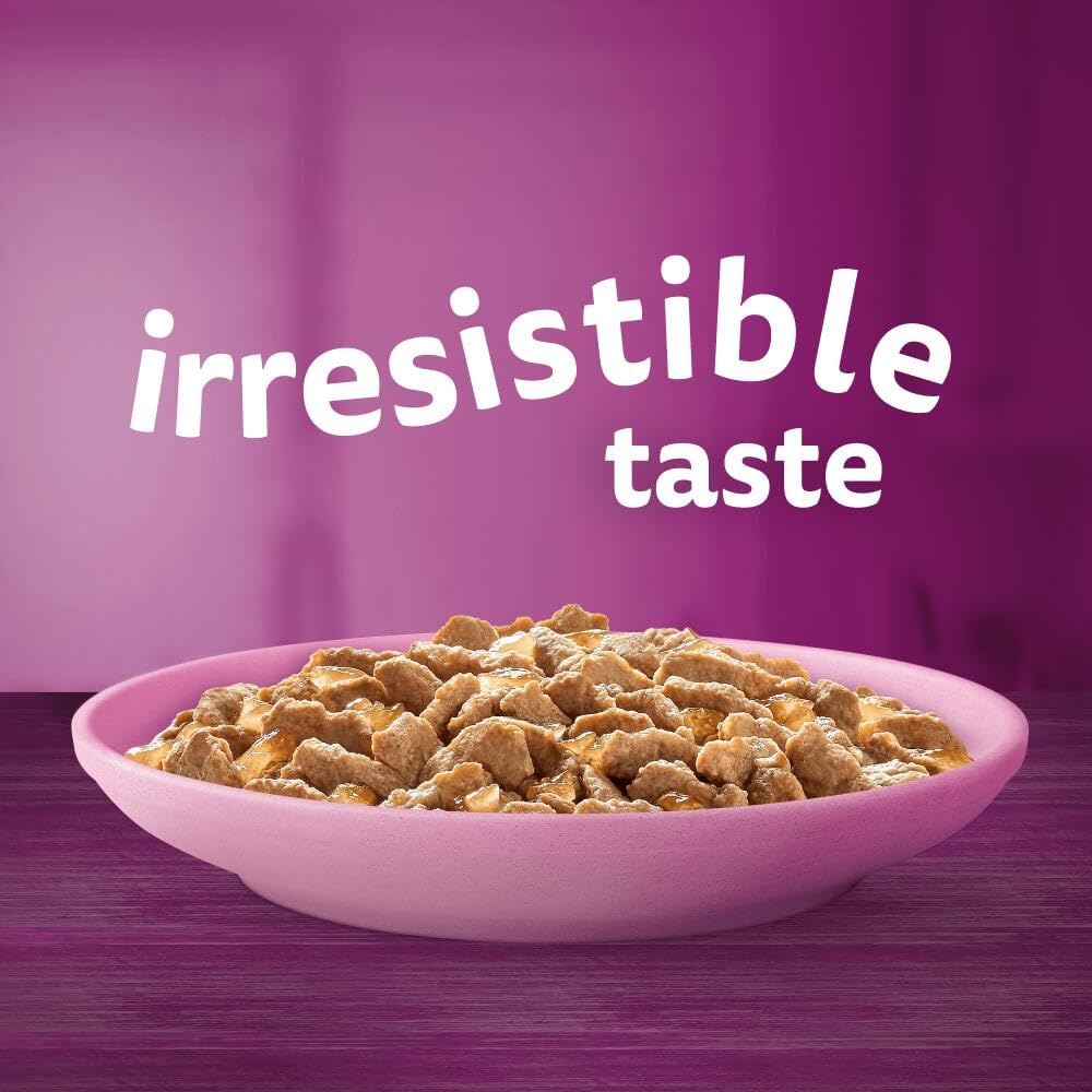 whiskas Junior Poultry Selection in Jelly 84 Pouches, Wet Kitten and Cat Food, Selection of Chicken, Duck, Poultry and Turkey, Megapack (84 x 85 g)