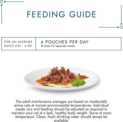 GOURMET Perle Chef's Collection Adult Wet Cat Food Mini Fillets in Gravy Variety Turkey, Tuna, Duck, Lamb 40 x 85g Pouches