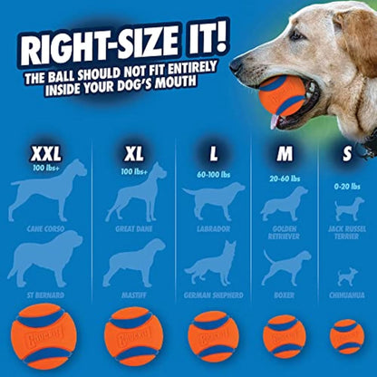 ChuckIt! Ultra Ball Dog Toy Chuckit Bucket Durable Rubber Dog Ball and Bucket High Bounce Floating Chuck It Launcher Compatible Toy Balls For Dogs with Carrier, 8 Pack, Medium